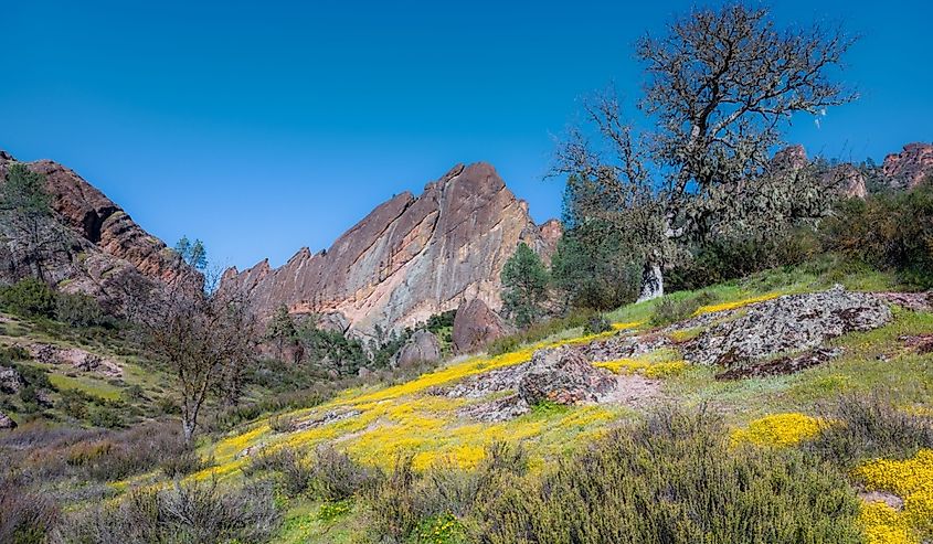 Machete Ridge and Poppy/Pinnacles National Park in California