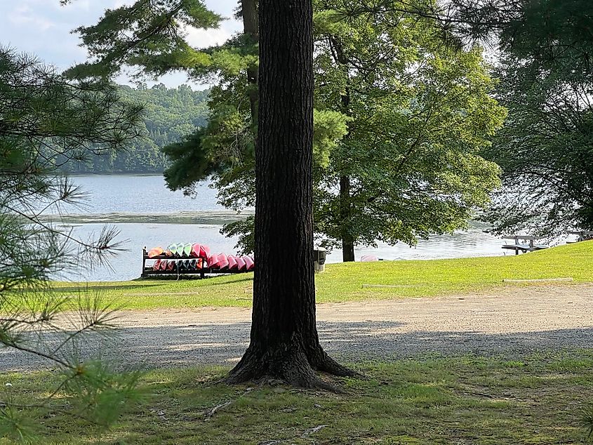 Barton Cove in Gill, Massachusetts.
