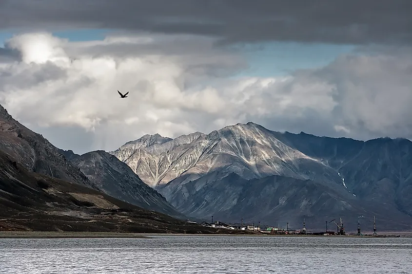 Cold coastal wetlands and tundra along the Bering Sea.