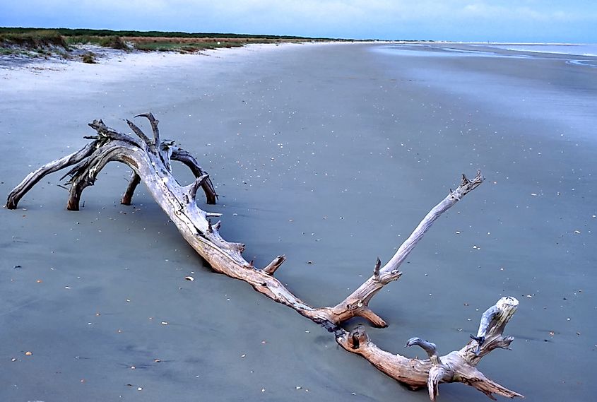 Little St. Simons Island