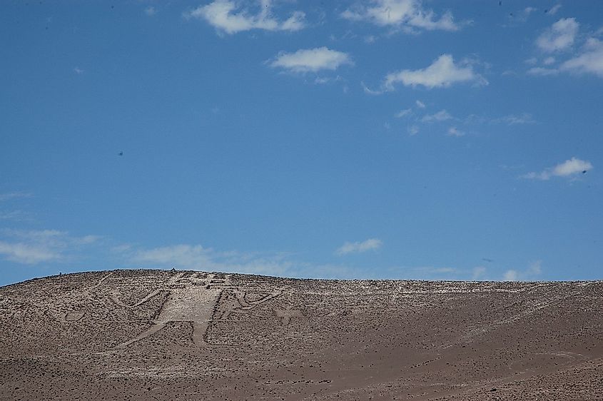 The Atacama Giant.