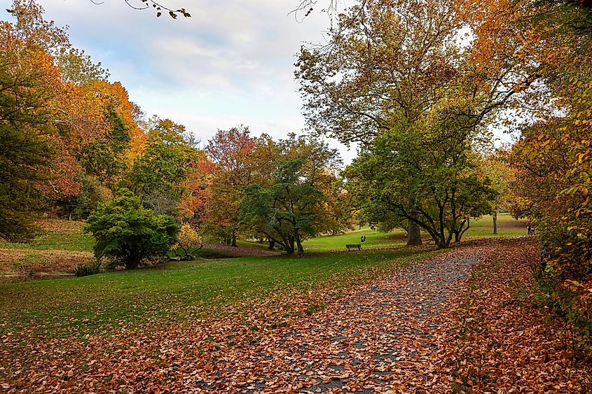The beautiful autumn scenery at Valley Garden Park, Greenville, Delaware.