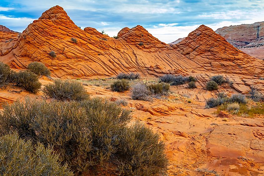 The Wave trail in Coyote Buttes North on the Arizona-Utah border.