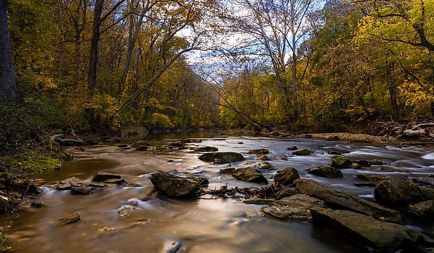 A scenic view of a river flowing in the forest in White Clay Creek State Park, Newark, Delaware