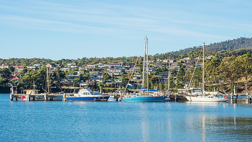 A variety of boats moored in St Helens on the East Coast of Tasmania in Australia.