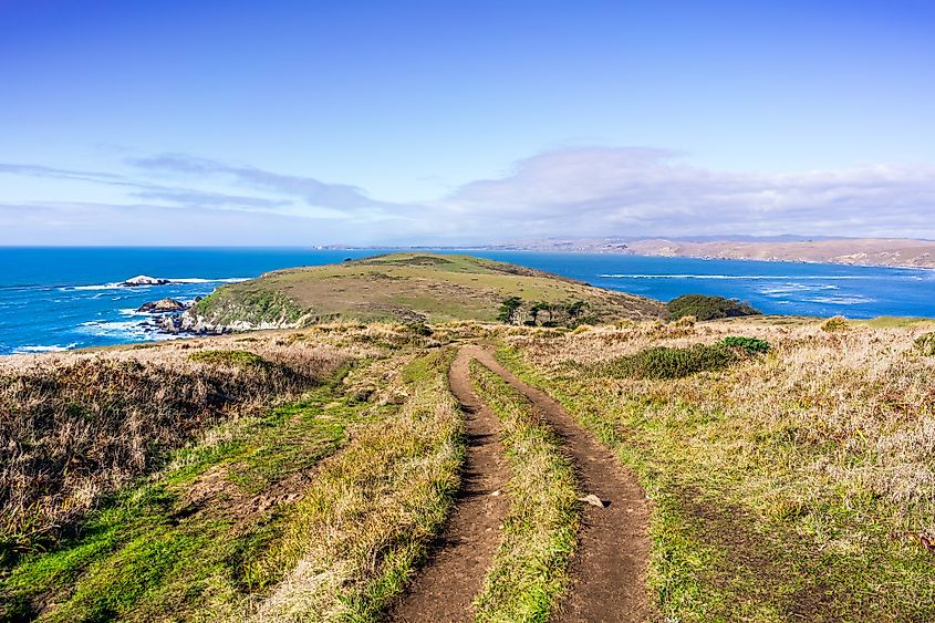 Tomales Trail