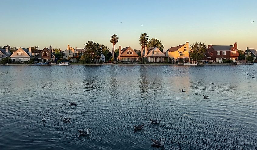 Foster City, California. View of the houses behind the lake. Birds swimming in the water. Sunset.