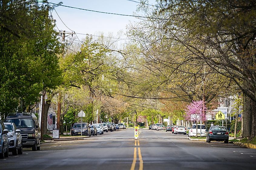 A quiet street in Cranbury, New Jersey.