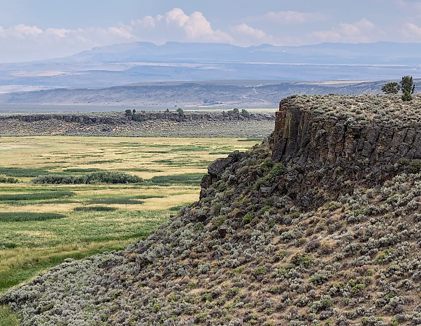 View of the wetlands at Malheur National Wildlife Refuge from a sagebrush covered cliff.