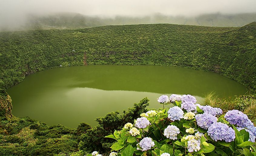 Flores Island