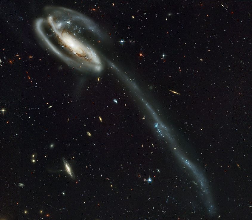 Tadpole Galaxy