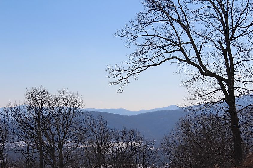 Beautiful nature in Crozet, Virginia.