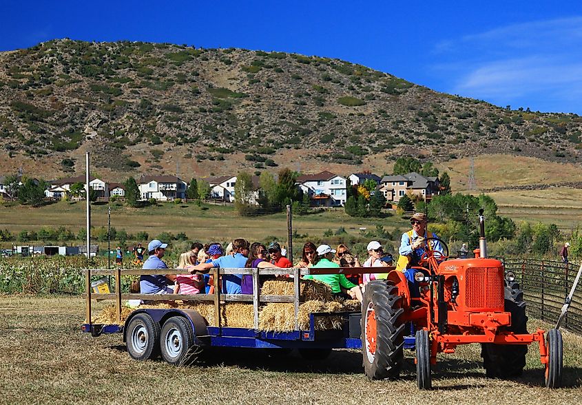Families on a hayride during a fall festival in Denver, Colorado.