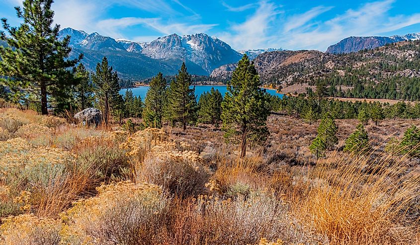 June Lake sits in the valley of the Californian Sierra Nevada mountains, on the June Lake Loop in Central California. The fall trees line the lake in the distance.