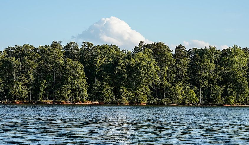 On the lake in Salisbury, North Carolina.