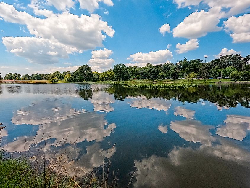 Summer lake scene at park in Missouri.