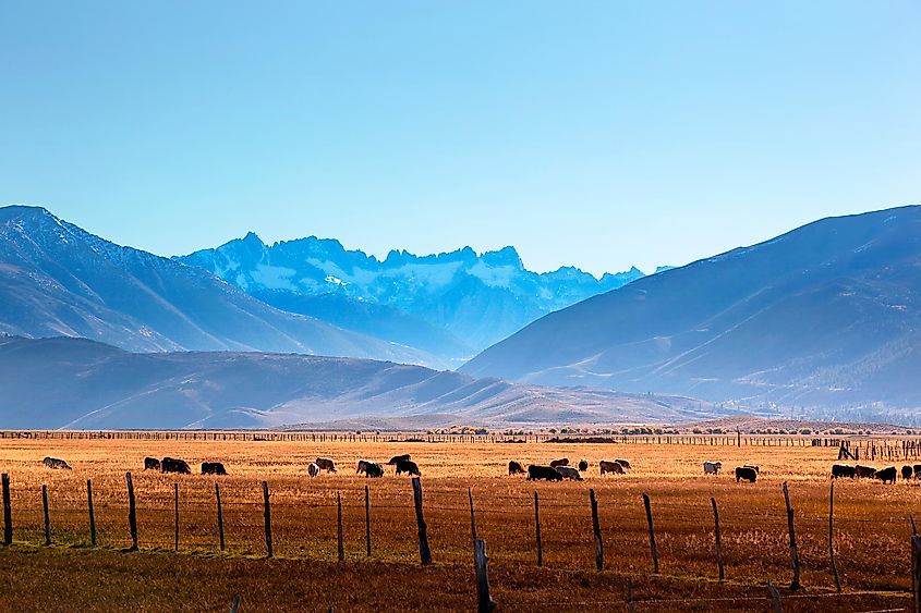 The view of the Sawtooth Mountains from Bridgeport, Tennessee.