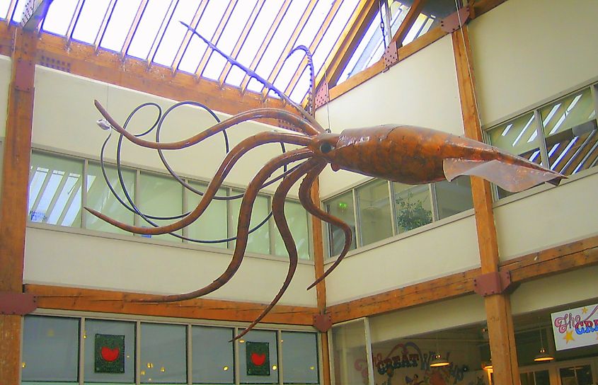 Giant squid sculpture in Seattle, Washington, United States. Giant squid in popular culture. (2024, July 9). In Wikipedia. https://en.wikipedia.org/wiki/Giant_squid_in_popular_culture By Sundae2Sundae - Self-photographed, Public Domain, https://commons.wikimedia.org/w/index.php?curid=86542361