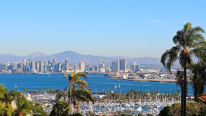 The harbor at San Diego, California.
