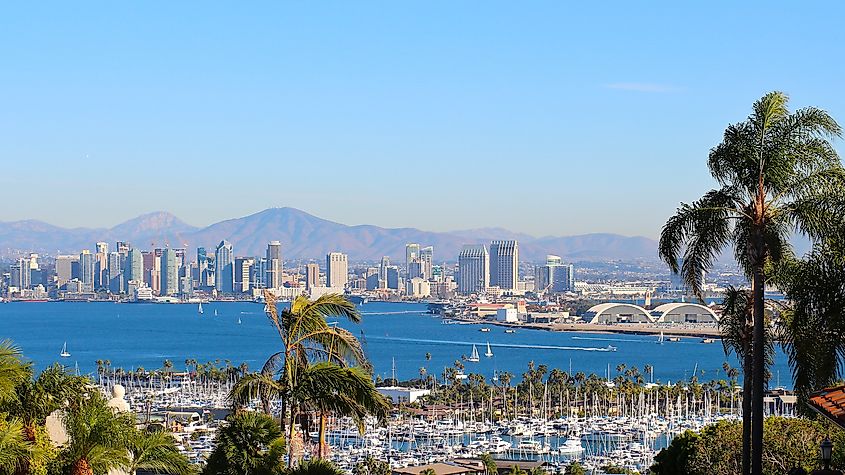 The harbor at San Diego, California.