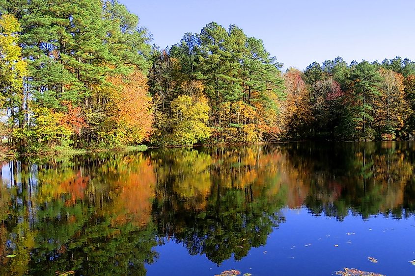 Reflected fall foliage at Trap Pond State Park in Delaware