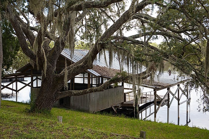 Steinhatchee, Florida