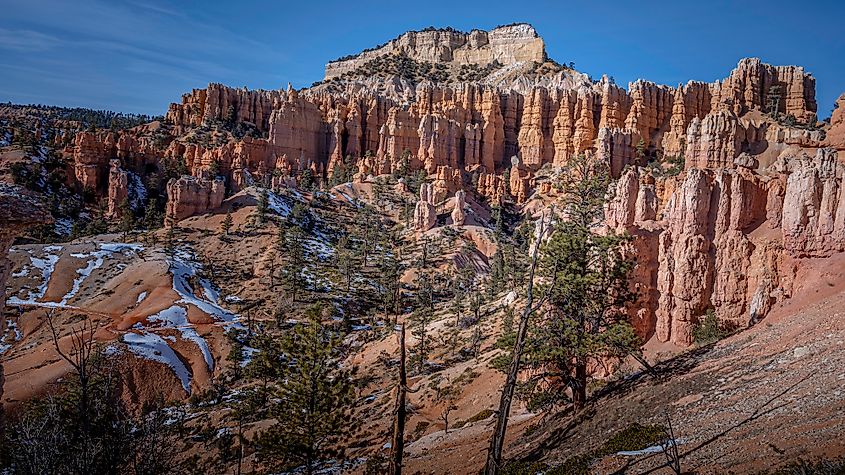 Fairyland Canyon