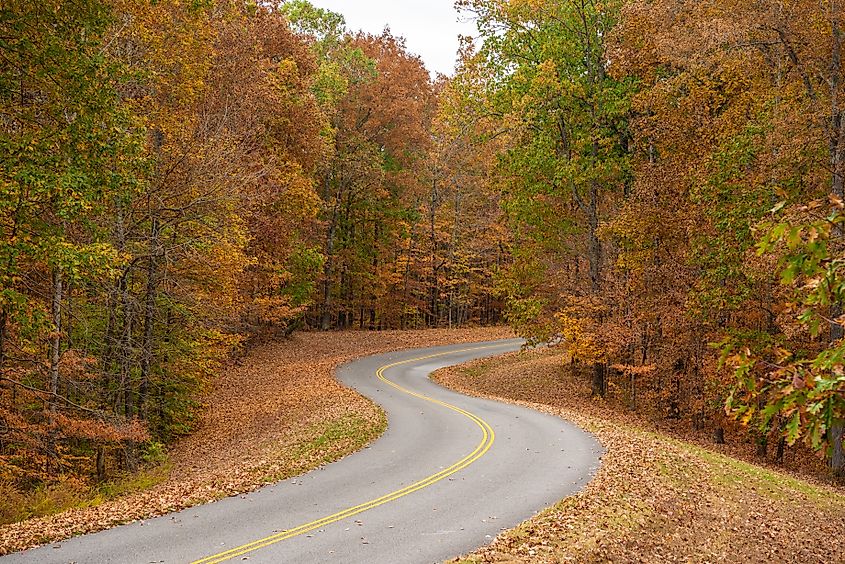 Natchez Trace Parkway road in Tennessee, USA during the fall season. The Natchez Trace Parkway is a national parkway in the Southeastern United States that commemorates the historic Natchez Trace