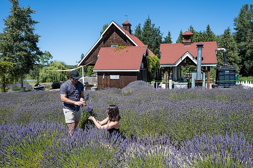 Sequim, Washington