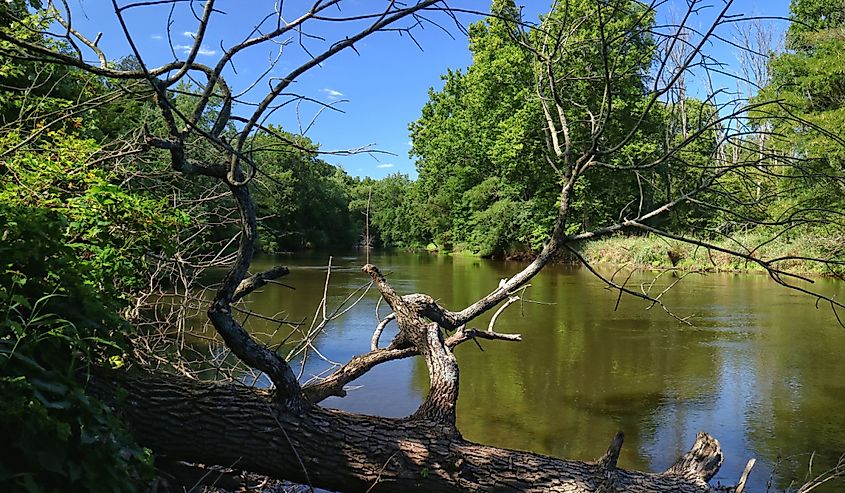 This image looks up the Tippecanoe River, through the branches of a fallen tree, at Tippecanoe River State Park in Indiana.