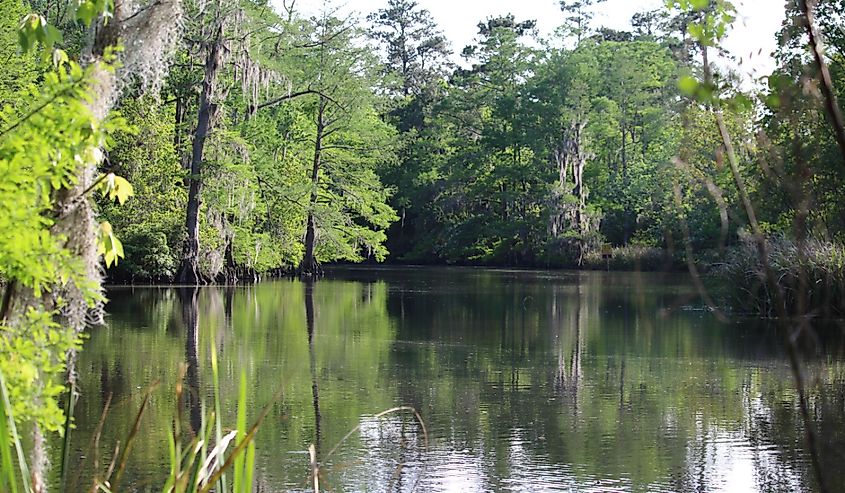 A bayou located in Slidell, Louisiana north shore of Lake Pontchartrain near New Orleans