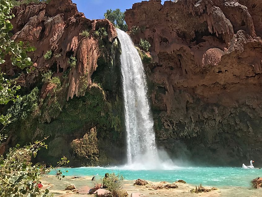 Havasu Falls in Supai, Arizona