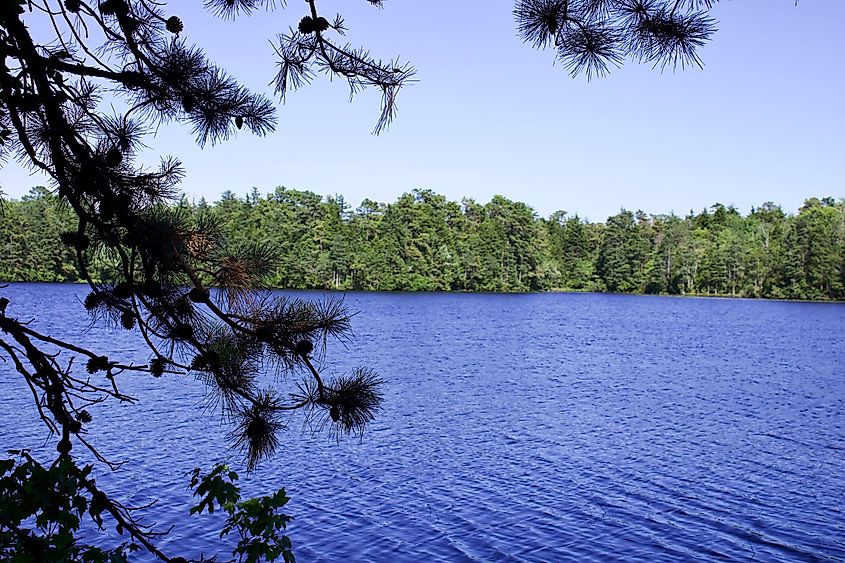A scenic lake in Belleplain, New Jersey.