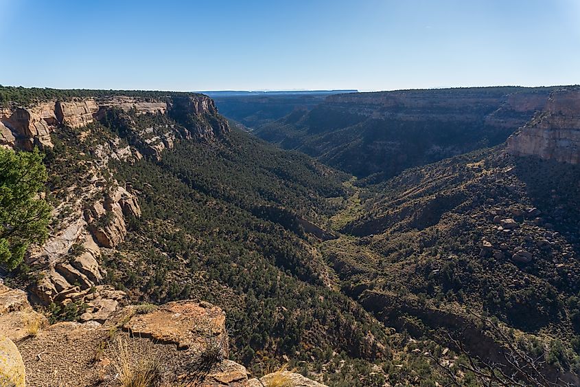 Navajo Canyon View in Mesa Verde National Park in Colorado. The canyon has sheer walls on the tops before a pretty steep grade down to the canyon floor. Mesa Top loop road.