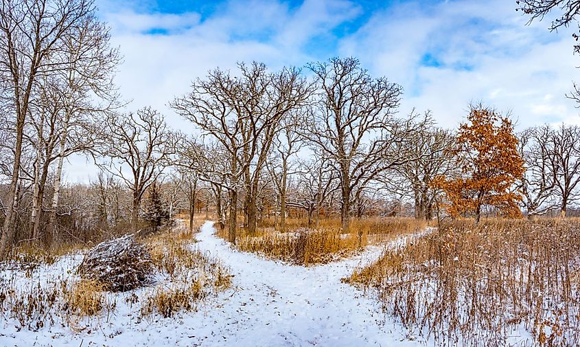 Snowy forest trail in Quarry Hill Nature Center in Rochester, Minnesota