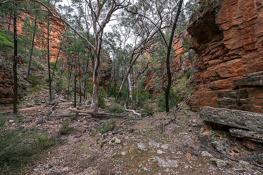 Alligator Gorge in Mount Remarkable National Park, South Australia