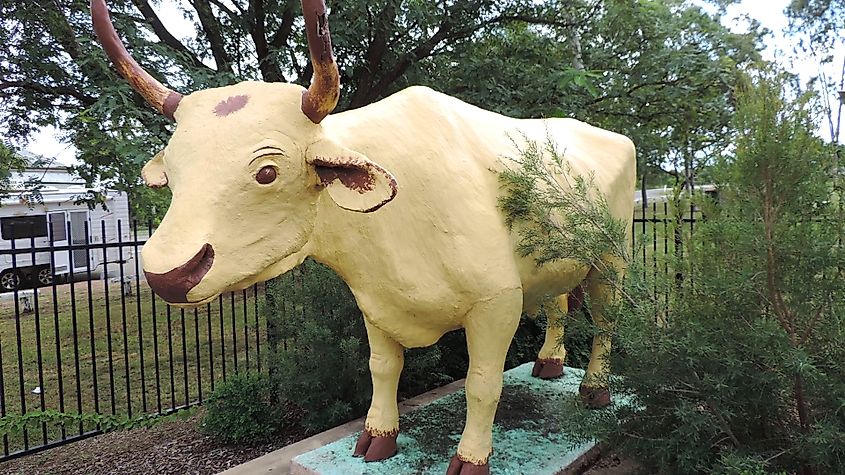 Statue of Banana, a famous bullock cow, after whom the town was named