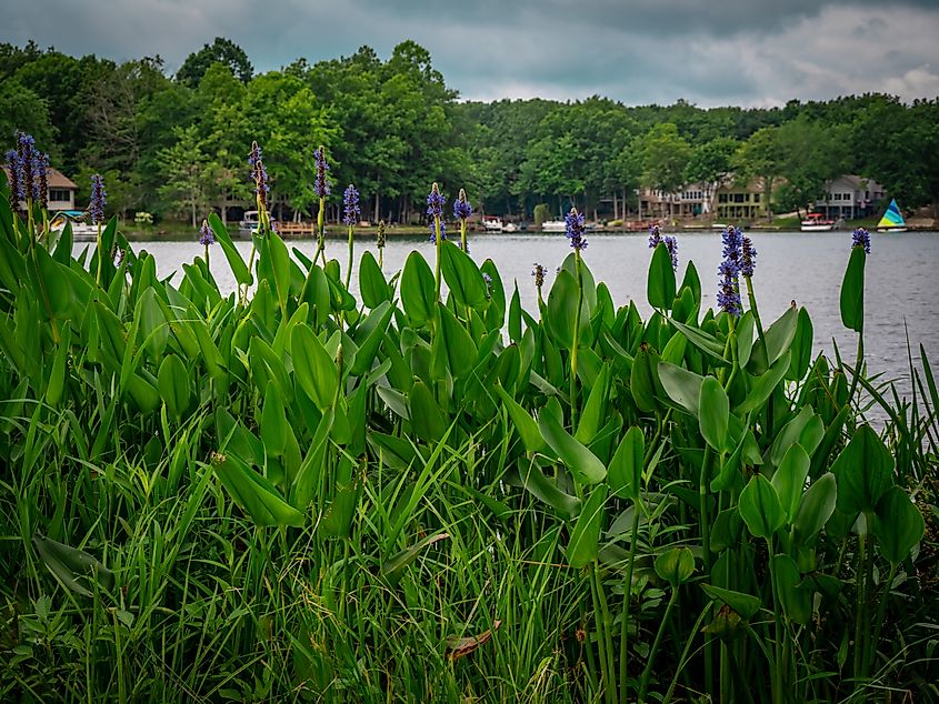Fairfield Glade, Tennessee