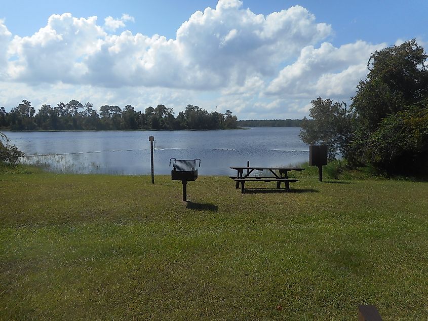 Public grille and picnic table on the north shore of Wildcat Lake at the Wildcat Lake Recreational Area within Ocala National Forest in Lake County, Florida.