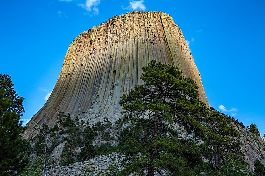 Devils Tower Towering Up, Devils Tower National Monument, Wyoming.
