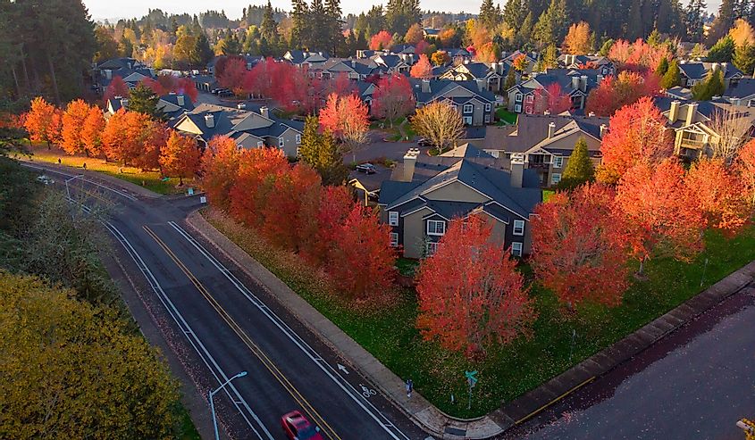 Aerial shot of a street intersection in Hillsboro, Oregon. Red fall trees along streets highlighted with setting sun.