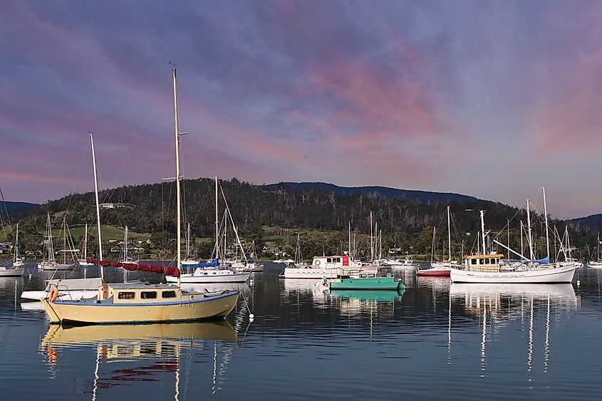 Boats anchored in Gardners Bay near Cygnet, Tasmania, Australia