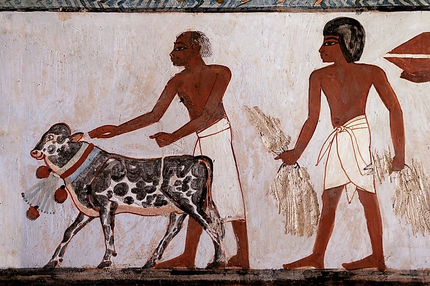 Agriculture in Ancient Egypt. Detail from the Tomb of Menna.