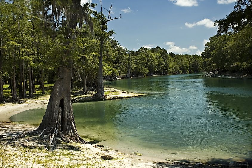 The beach on the Santa Fe River near Branford, Florida.