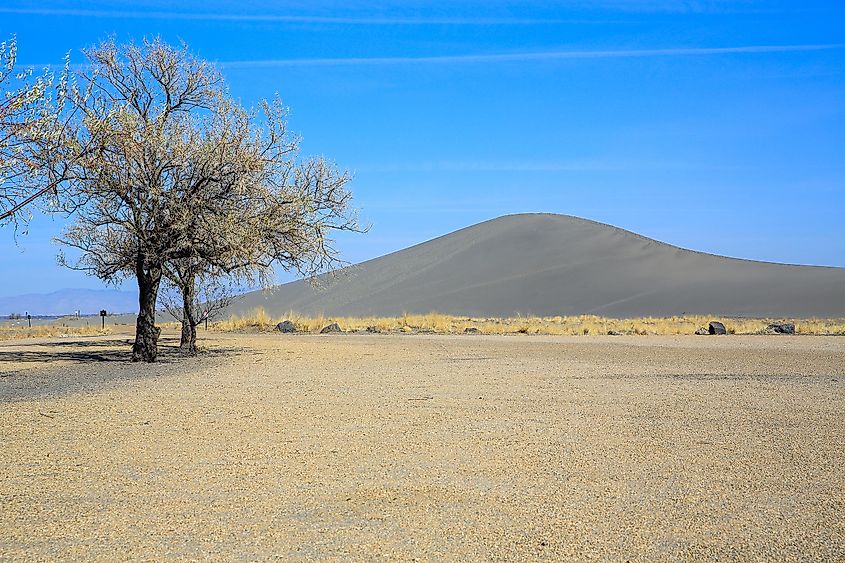 Bruneau Dunes State Park, Idaho, USA, framed by trees on the left side.