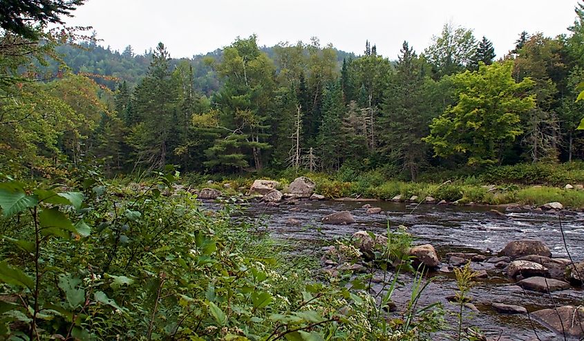 River running through the Quarry Hiking trail in Wilmington, New York.