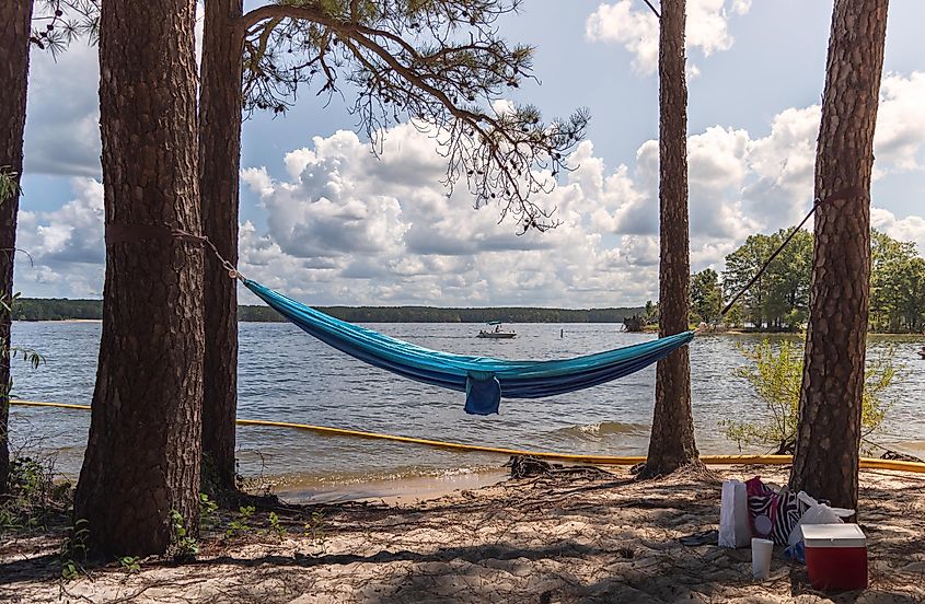 Calm waters on a sunny day at the Jordan Lake in North Carolina, USA