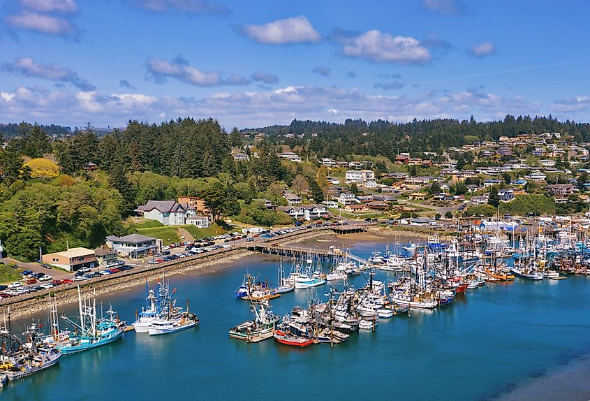 Aerial view of the fishing fleet in the Yaquina Bay marina at Newport, Oregon