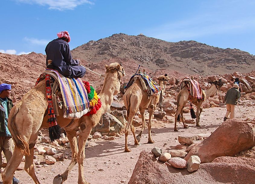 Climbing Mount Sinai