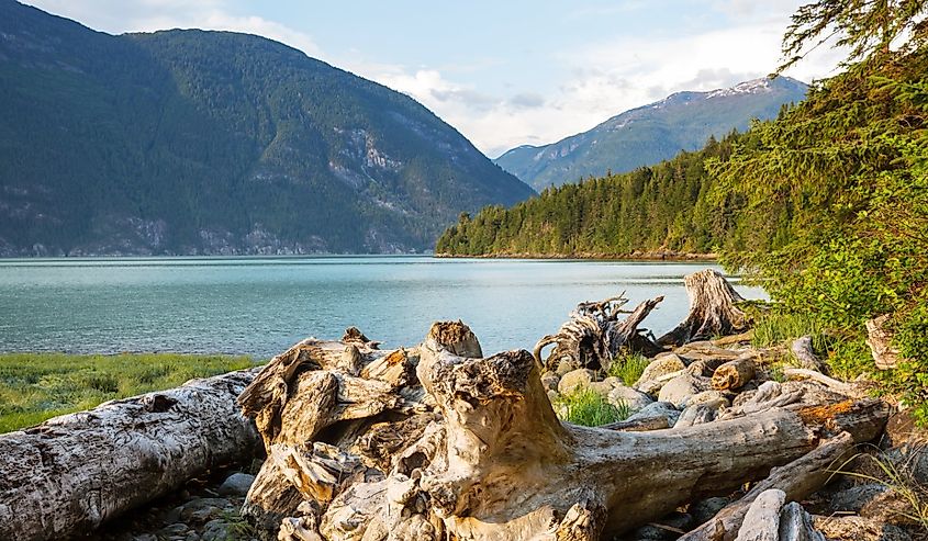 Beautiful shoreline at sunset in Bella Coola, Canada.
